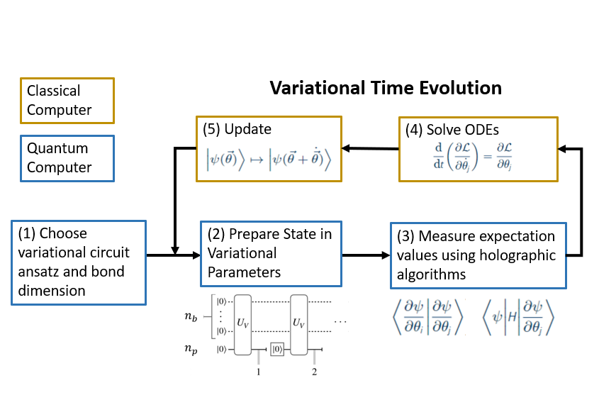 Holographic Algorithms for Variational Time Evolution